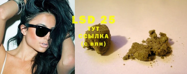 гидра Алексин