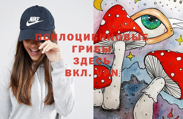 мдпв Абдулино